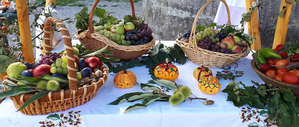 Festival gljiva i plodova jeseni 23.09.2017.